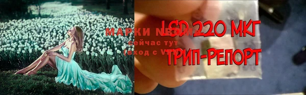 герыч Арсеньев