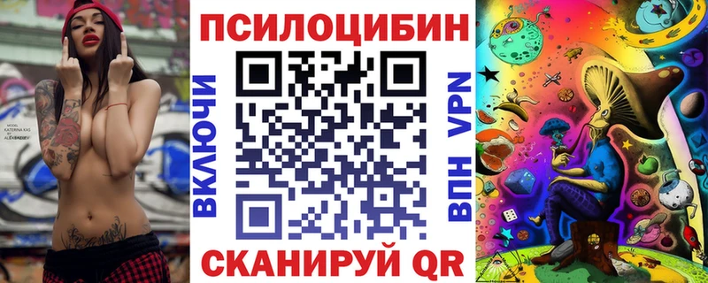 Галлюциногенные грибы Psilocybe Устюжна
